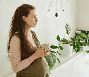 Herbal Medicine for Pregnancy and Postpartum: Herbs to support each trimester, by Naturopath Corinne Leach - The Birth Store